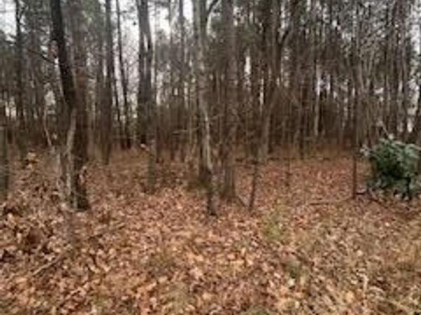 107 Browns Mill Road, Robbins, NC 27325