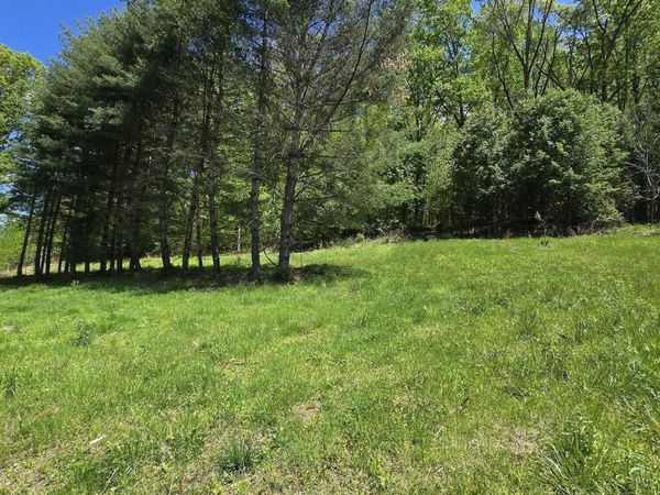 Tracts 1-3 Dooley Hollow Rd, Ewing, VA 24248