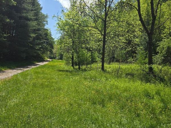 Tracts 4,5,6 Dooley Hollow Rd, Ewing, VA 24248