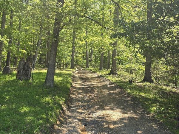 Tract 7 Dooley Hollow Rd, Ewing, VA 24248