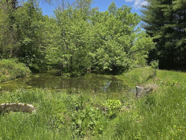 Tract 8 Dooley Hollow Rd, Ewing, VA 24248