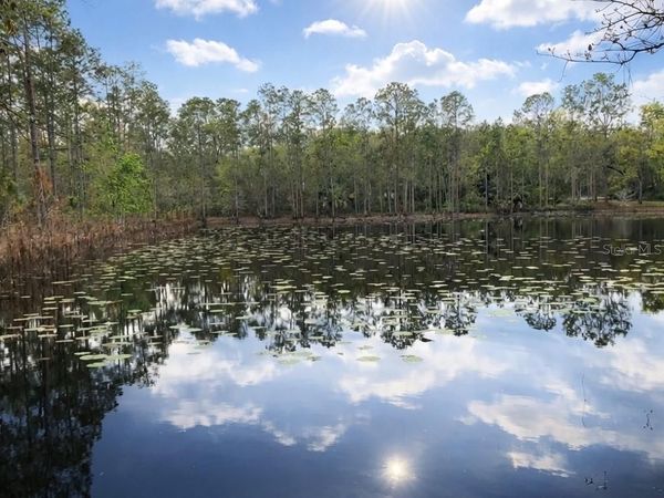 3525 MICHIGAN STREET, LAKE MARY, FL 32746