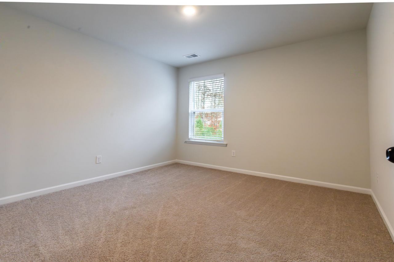 120 Petrell Road Photo 17