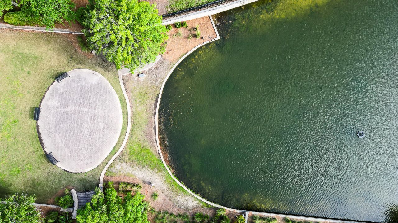 120 Petrell Road Photo 29