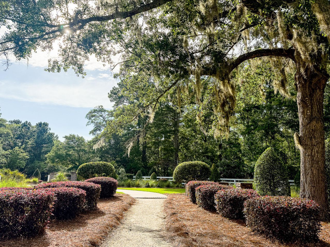 120 Petrell Road Photo 31