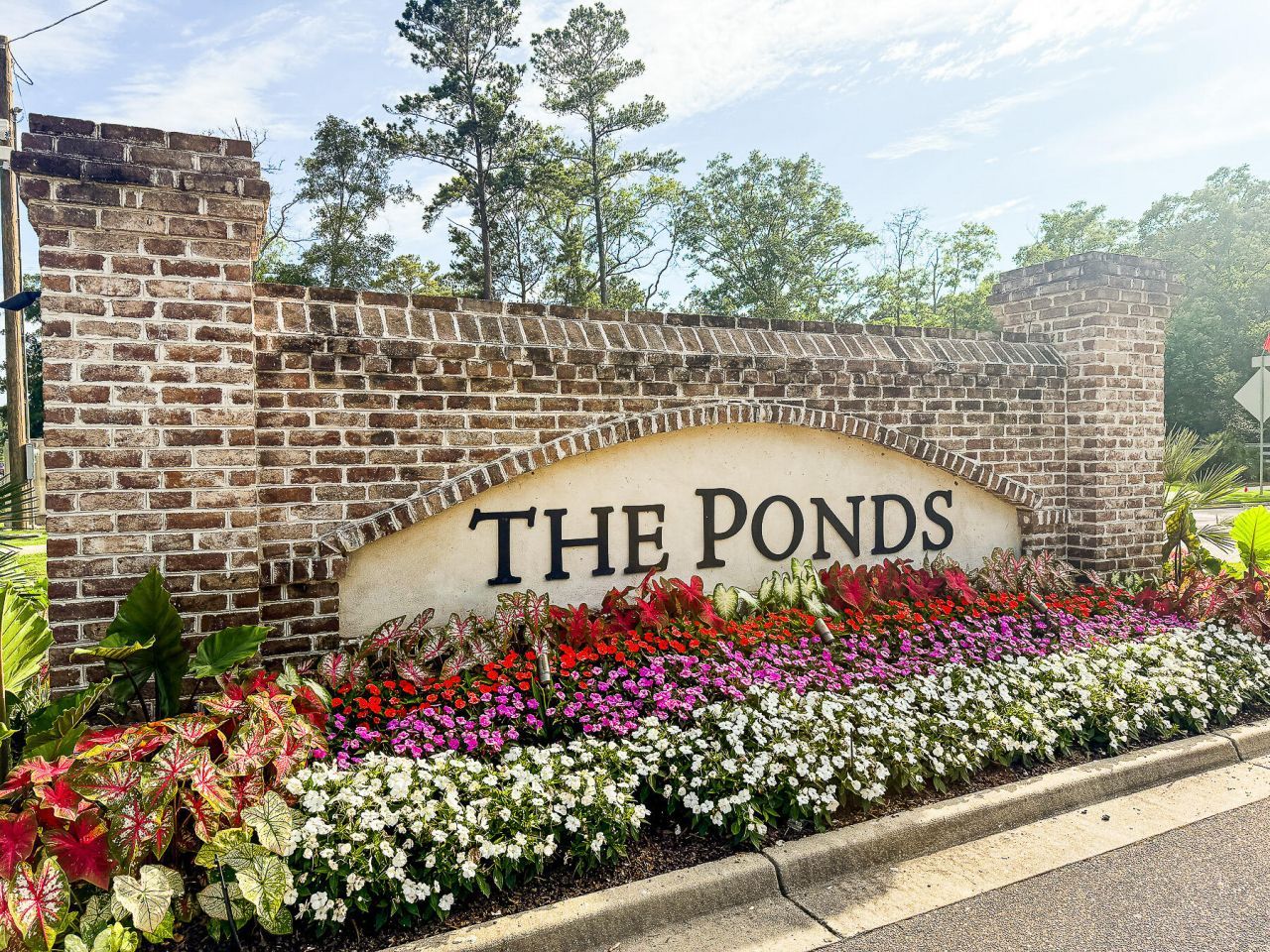 120 Petrell Road Photo 32