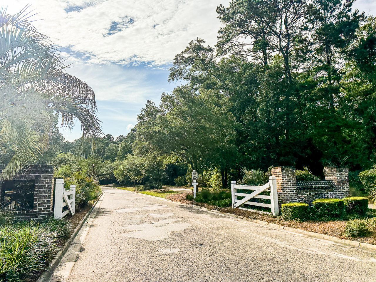 120 Petrell Road Photo 33