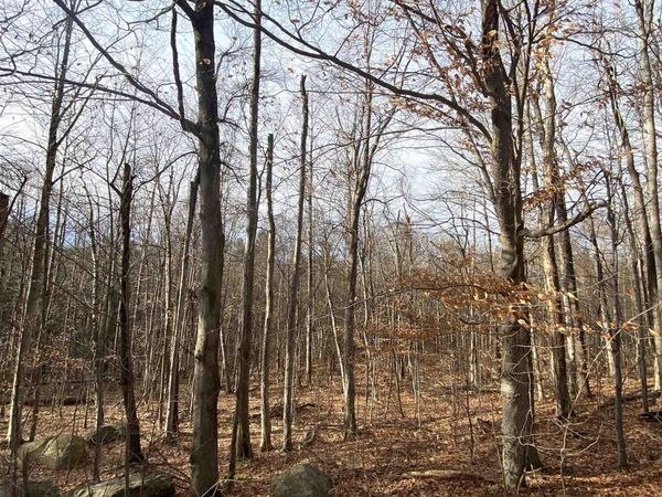 6 Fred Johnson Circle, Unit 17, Middlebury, VT 05753