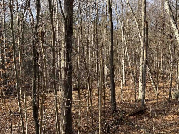 8 Fred Johnson Circle, Unit 16, Middlebury, VT 05753