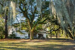 2545 N Hobson Avenue photo 4