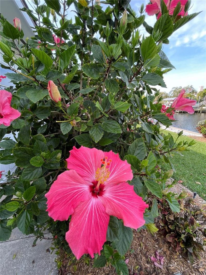 5219 Bimini Drive, Bradenton, FL 34210 Photo