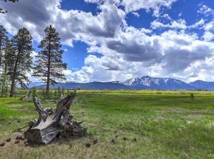 738 San Francisco Avenue, South Lake Tahoe, CA 96150 Photo