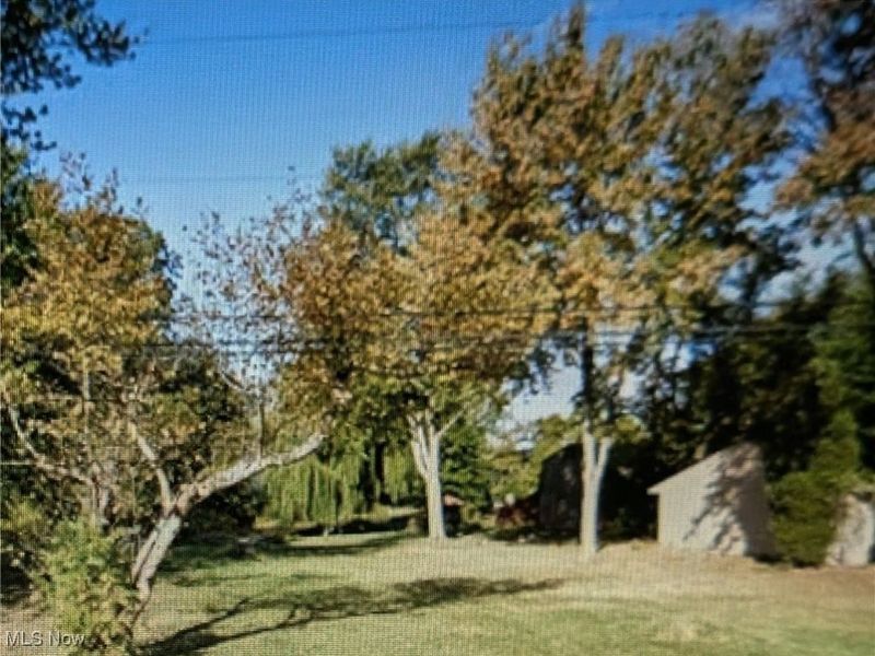 Buckeye Drive, Sheffield Lake, OH 44054 Photo 5