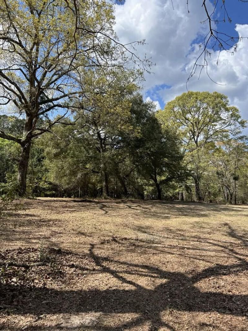 0 Roberta Drive Photo 4