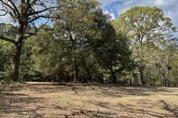 0 Roberta Drive photo 4