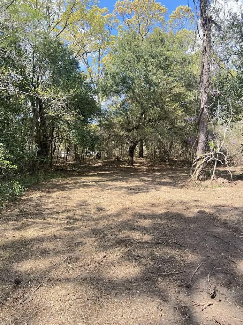 0 Roberta Drive Photo 5