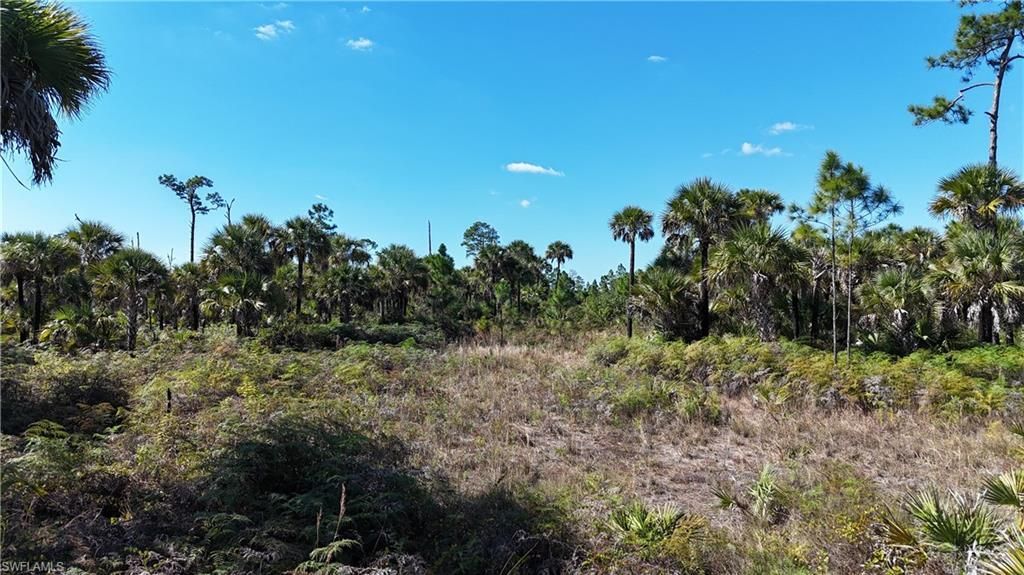 Please Call For Address, Naples, FL 34117 Photo