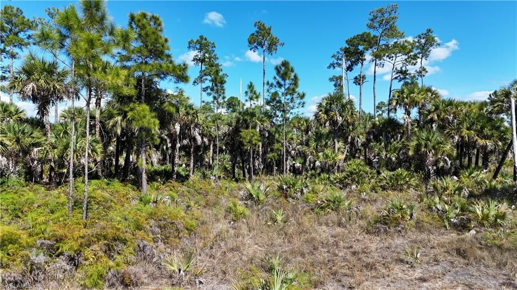 Please Call For Address, Naples, FL 34117 Photo