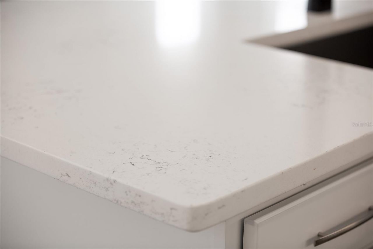 208 Eagleston Lane, Lakewood Ranch, FL 34240 Photo