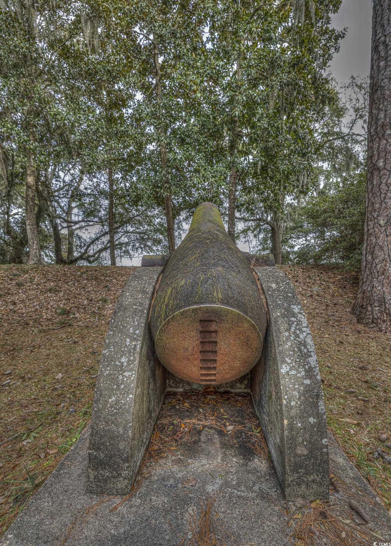 43 Pheasant Loop Photo 35