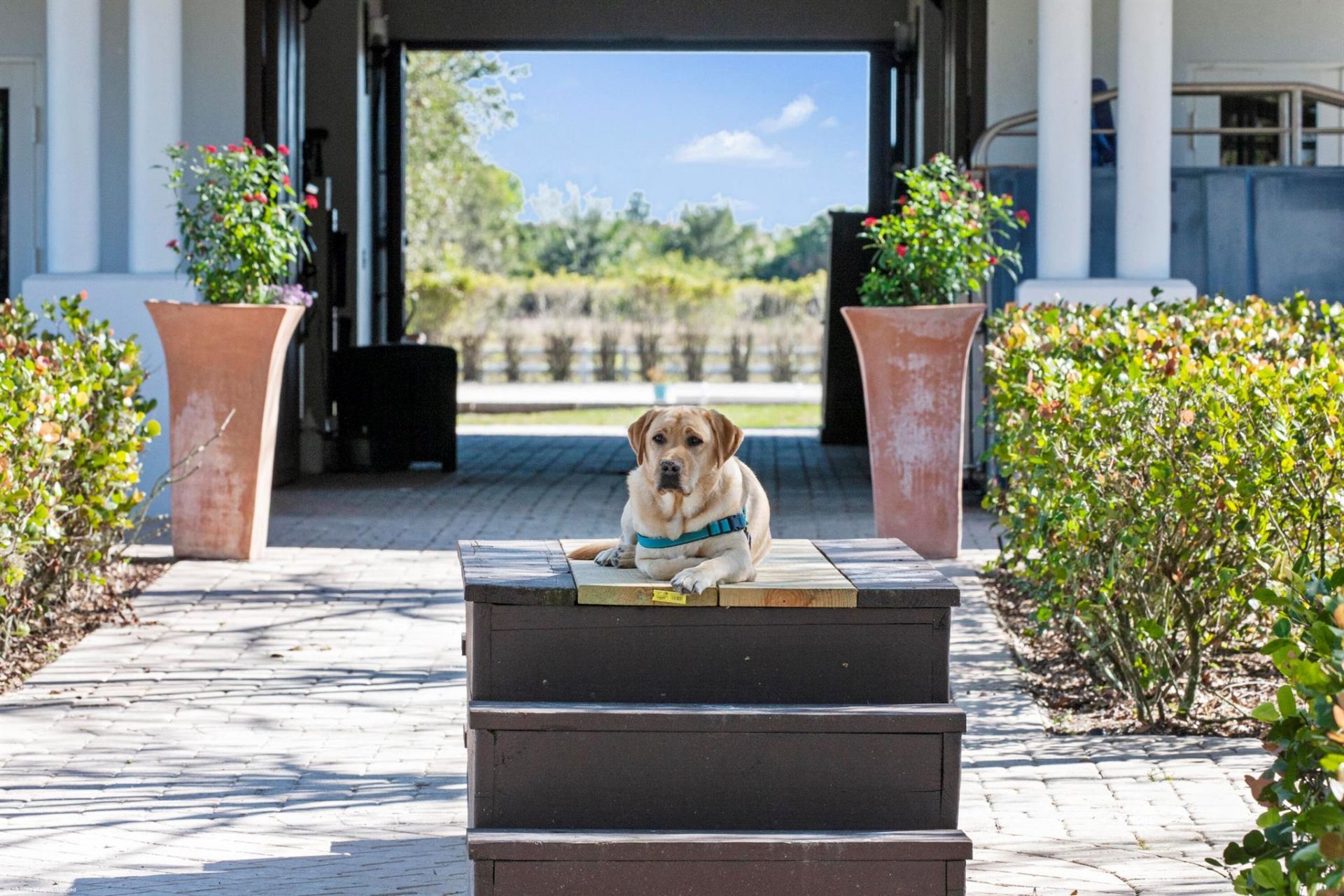 3790 Hanover Circle, Loxahatchee, FL 33470 Photo