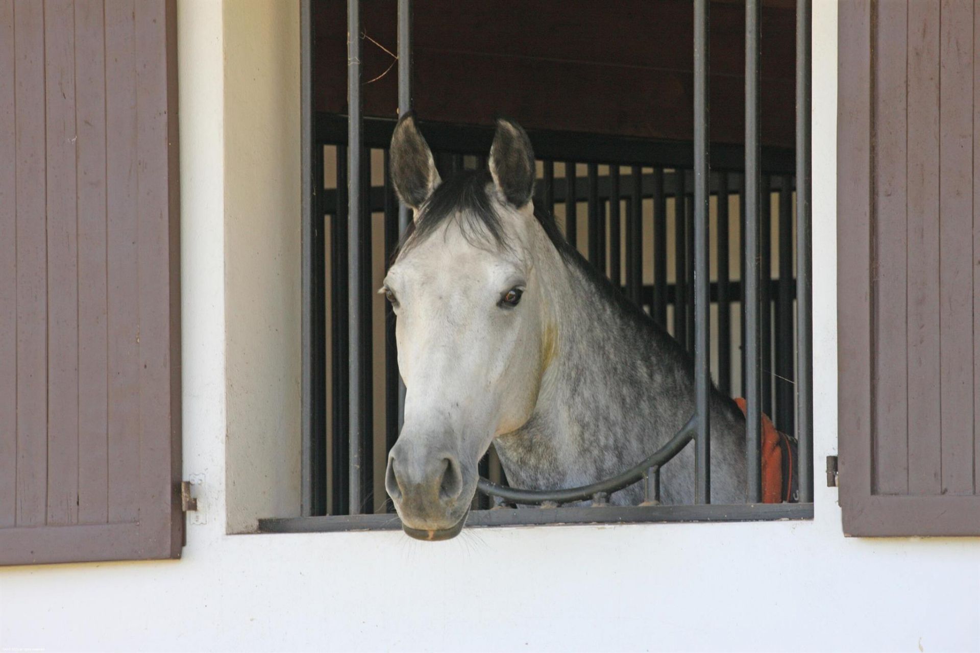 3790 Hanover Circle, Loxahatchee, FL 33470 Photo