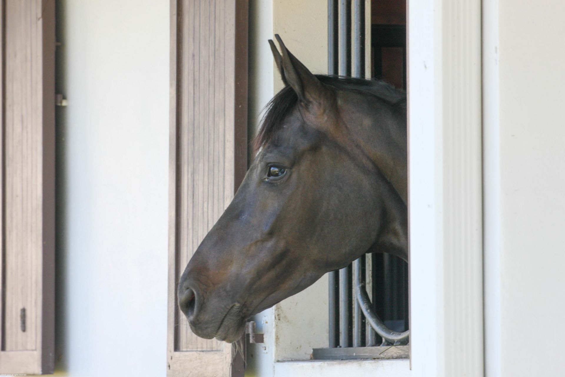 3790 Hanover Circle, Loxahatchee, FL 33470 Photo