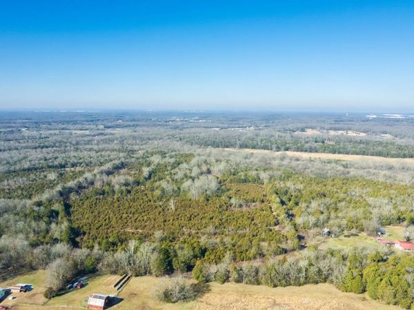 980 Baldy Ford Road, Unit Lot 1, Lascassas, TN 37085