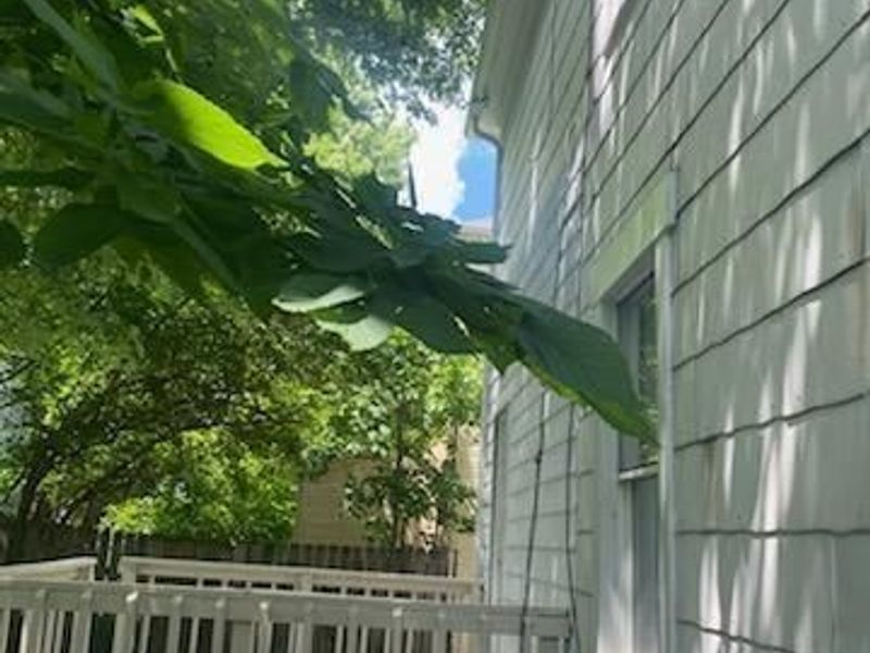 208 Heaton Avenue, Dayton, OH 45410 Photo 12