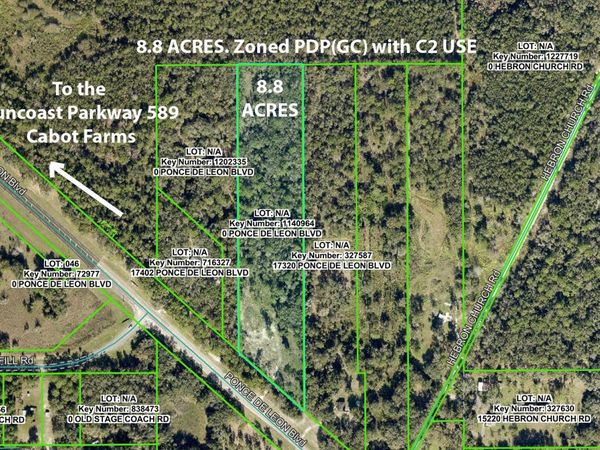 17338 PONCE DE LEON BOULEVARD, BROOKSVILLE, FL 34614