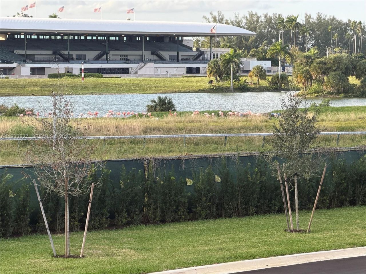 2308 E 4th Ave, Unit 205, Hialeah, FL 33013 Photo