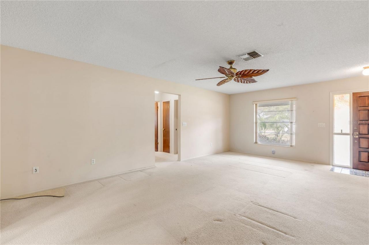 805 S Cooper Street, New Smyrna Beach, FL 32169 Photo