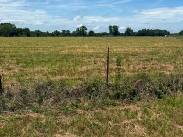 000 VZ County Rd 4406, Ben Wheeler, TX 75754