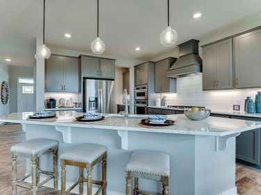 1729 Oak Creek Pass, Chaska, MN 55318