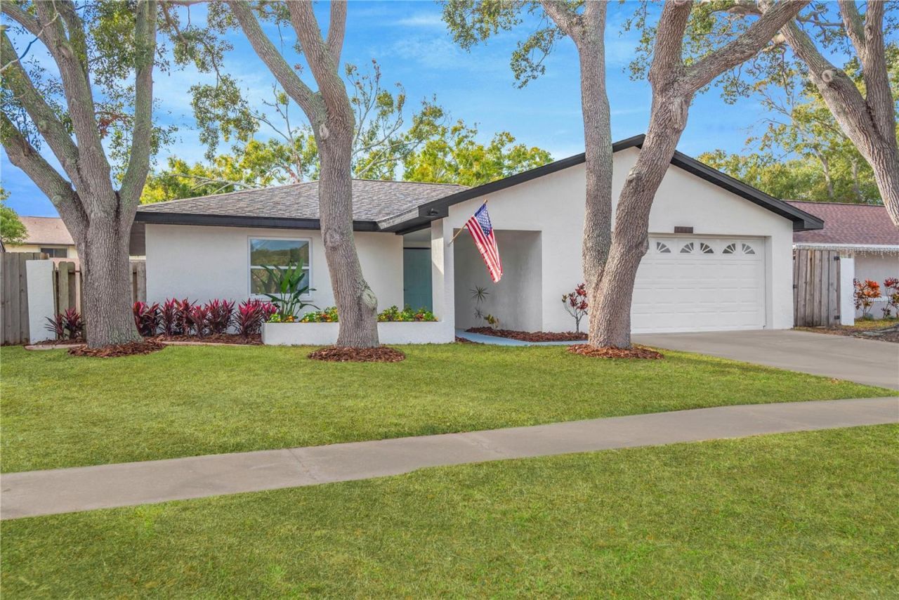 1948 Dodge Circle, Clearwater, FL 33760 Photo