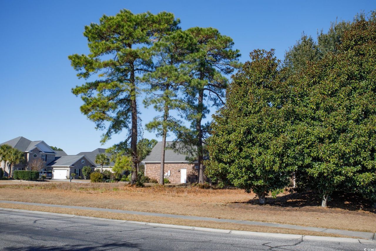 100 Ocean Sands Ct. Photo 10