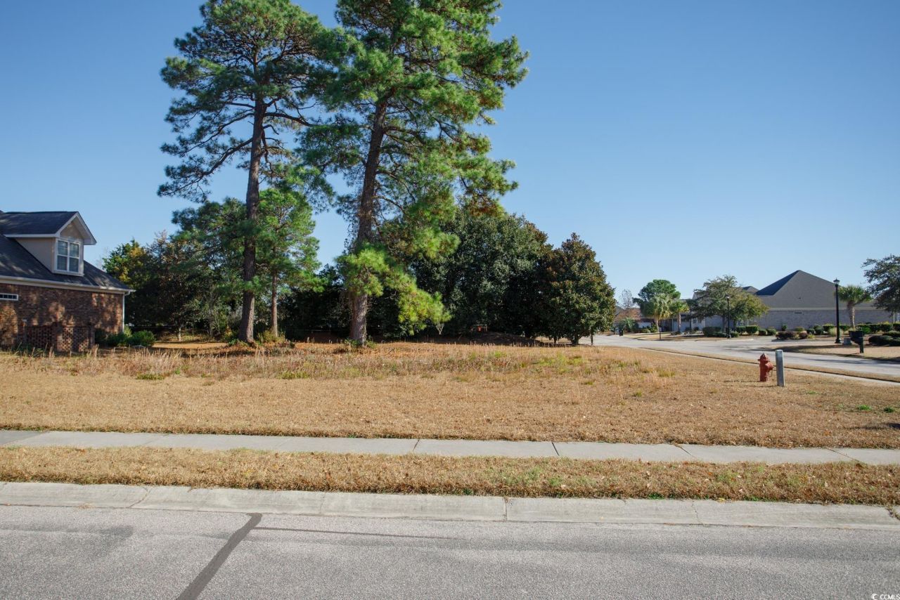 100 Ocean Sands Ct. Photo 4