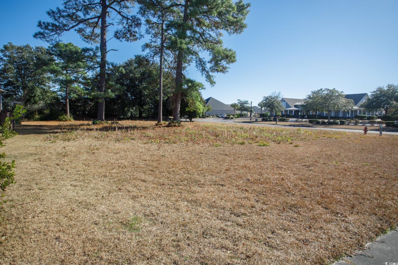 100 Ocean Sands Ct. Photo 6