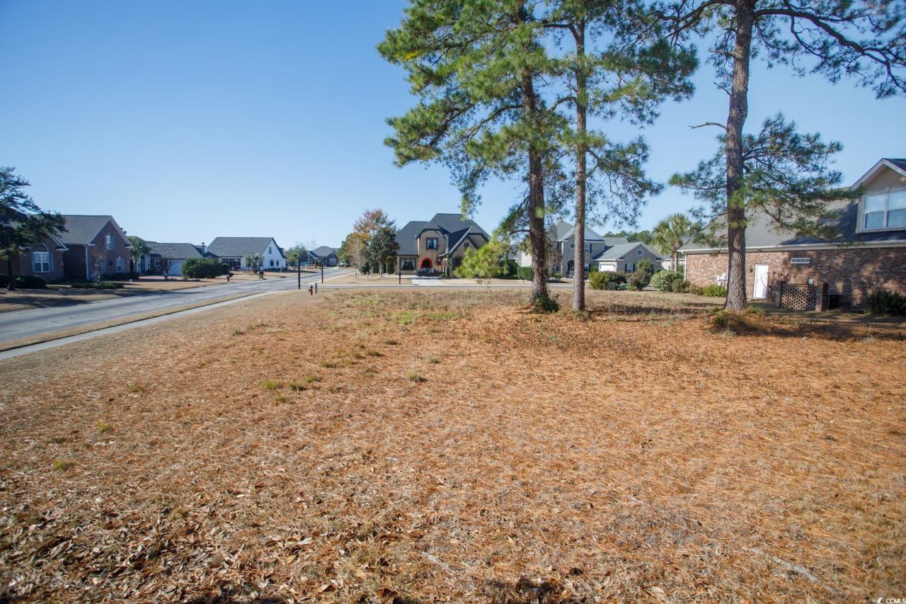 100 Ocean Sands Ct. Photo 9