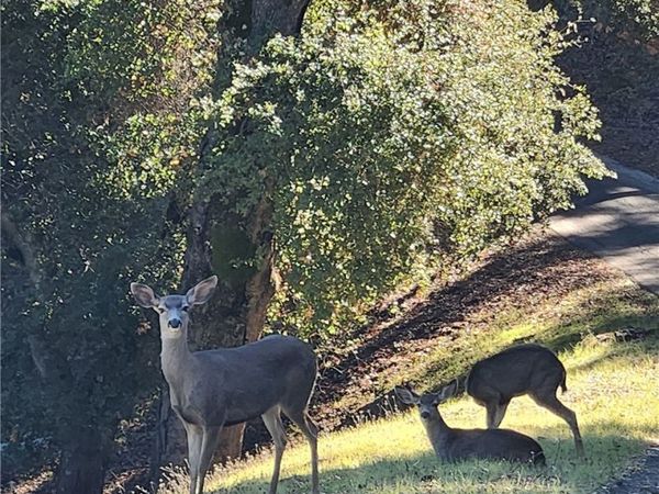 2155 San Fernando, Atascadero, CA 93422