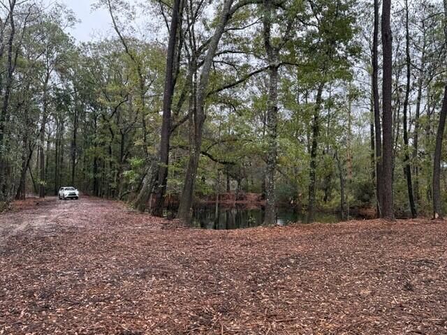 7225 Sc-165 Photo 12