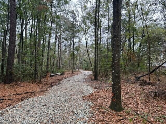 7225 Sc-165 Photo 15