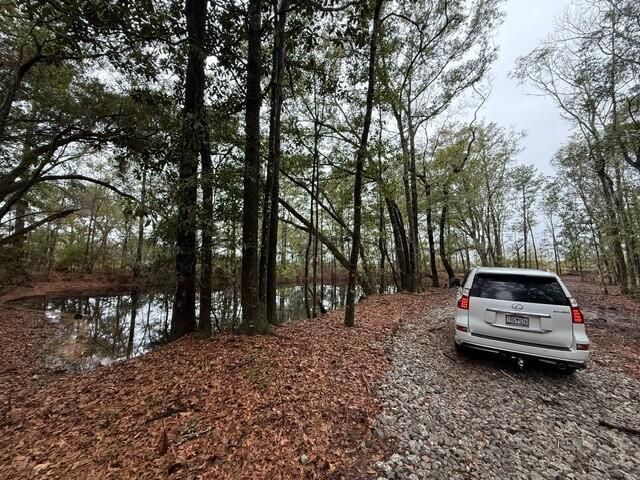 7225 Sc-165 Photo 16