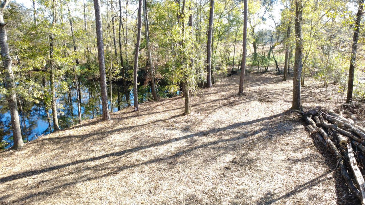 7225 Sc-165 Photo 19