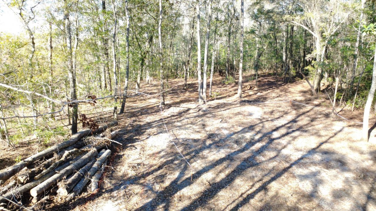 7225 Sc-165 Photo 21