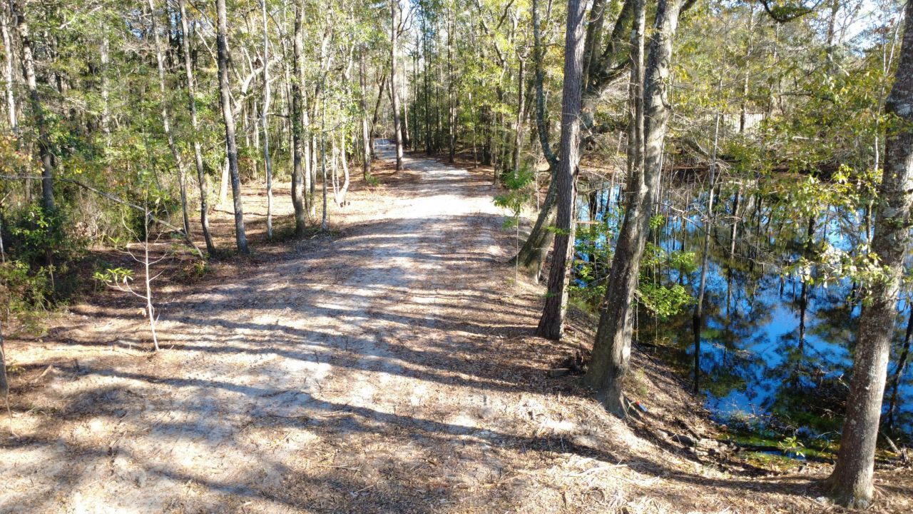 7225 Sc-165 Photo 23