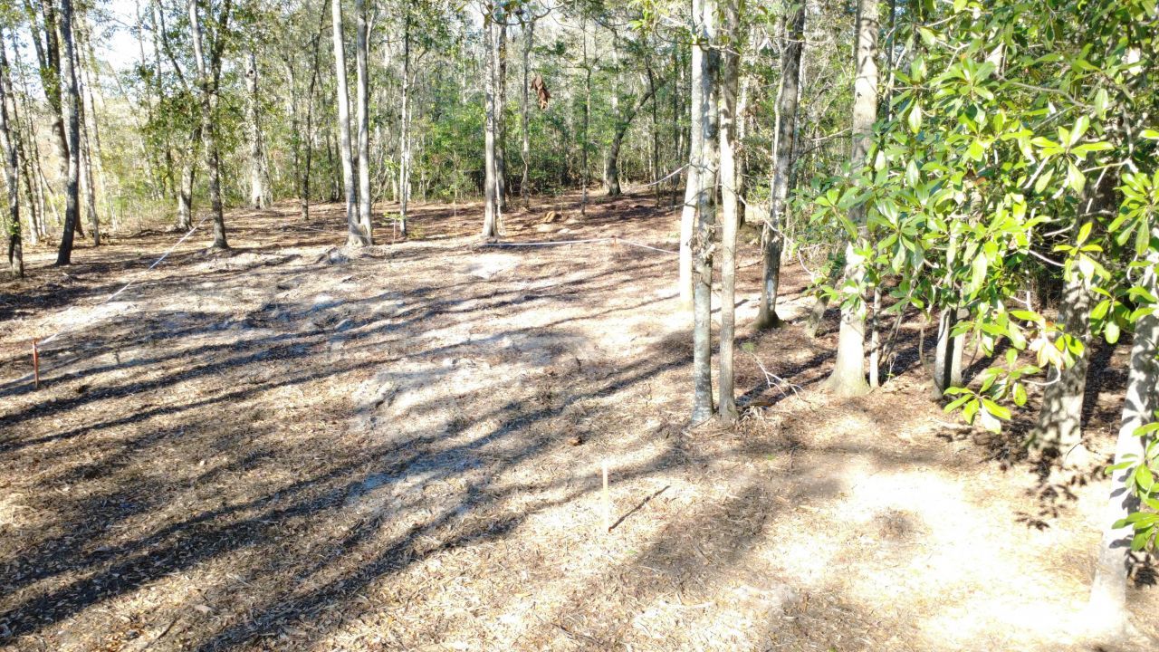 7225 Sc-165 Photo 24