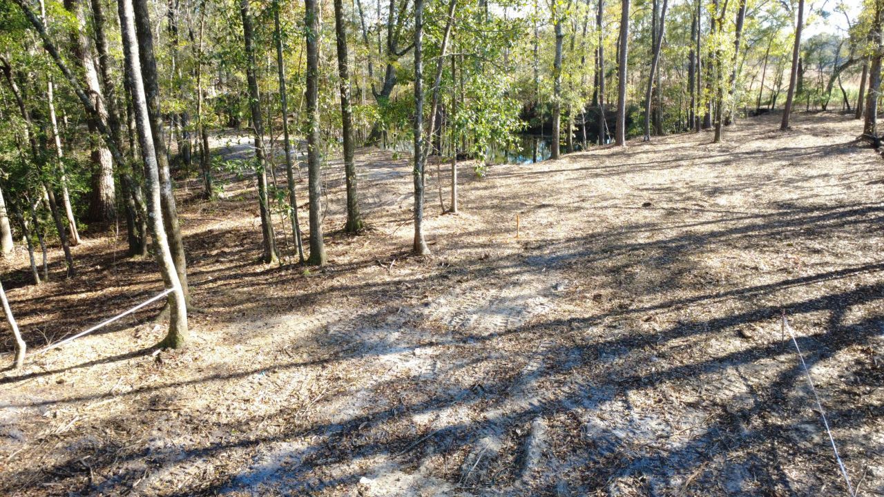 7225 Sc-165 Photo 28