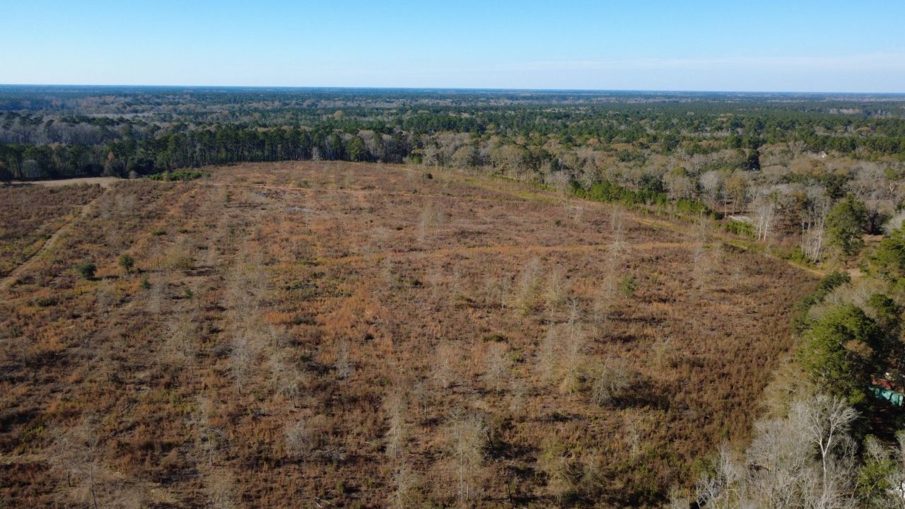 7225 Sc-165 Photo 40