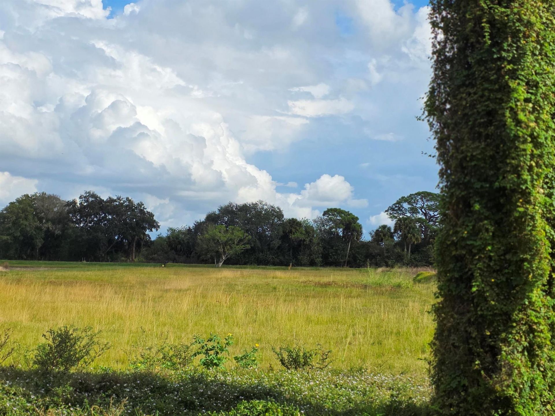 1132 NE 48th Avenue, Okeechobee, FL 34972 Photo